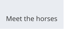 Meet the horses