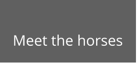 Meet the horses